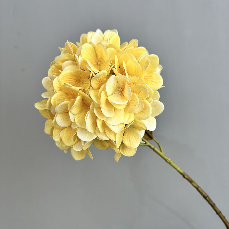Milk Yellow #7