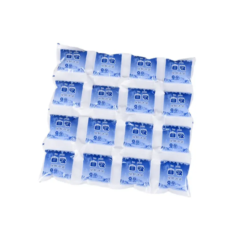 Herbruikbare Pe Ice Packs Voor Verzending Voedsel 12 Cellen Cool Gel Ice Pack