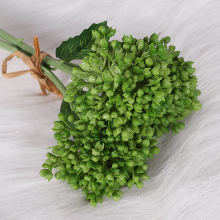 Wind letter fruit green