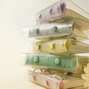 Mini A6 PVC Soft Binder Notebook con 3 anelli trasparente a foglia larga con chiusura a bottone a scatto memory pad con stile