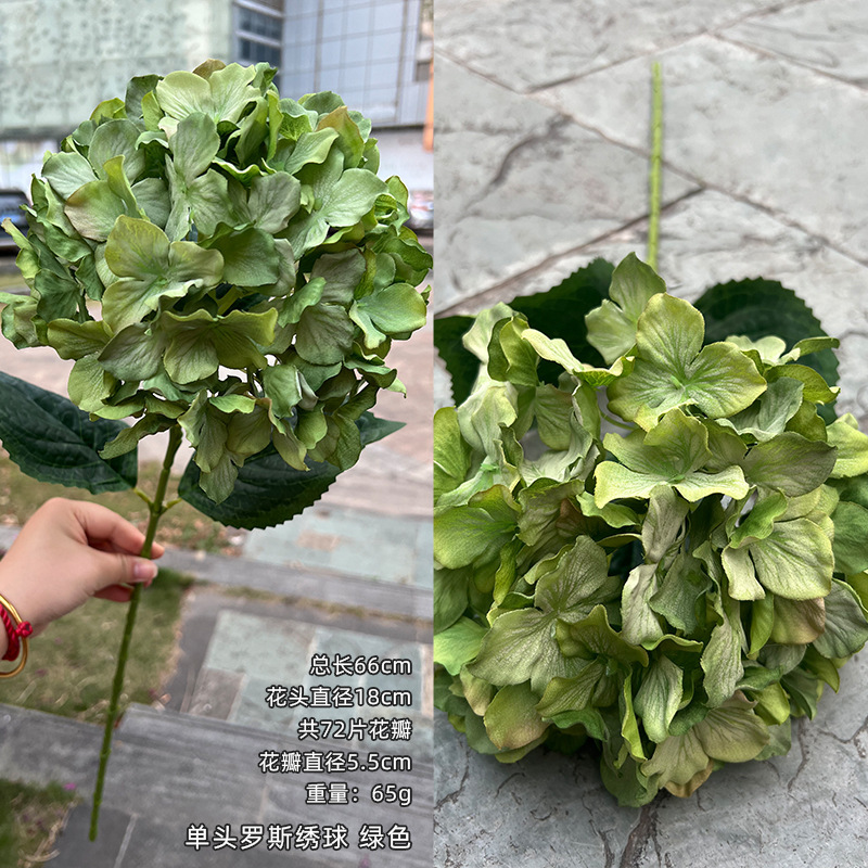 Hydrangée rose verte à une tête