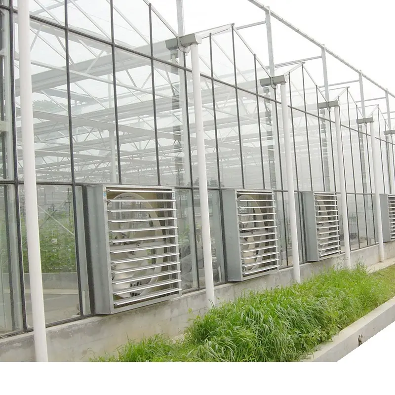 Best Sales Agricultural Greenhouse fiberglass greenhouse covering bamboo greenhouse