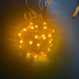 9mm 12V WS2811 IP68 impermeabile RGB Pixel modulo luce LED Full Color automatico indirizzamento digitale LED luce Pixel - Product Image 1