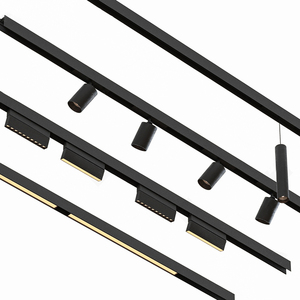 Hệ thống đèn ray từ tính gắn âm tường màu đen 2 dây, đèn LED ray từ tính tuyến tính 220V, đèn ray LED có thể điều chỉnh - Product Image 4