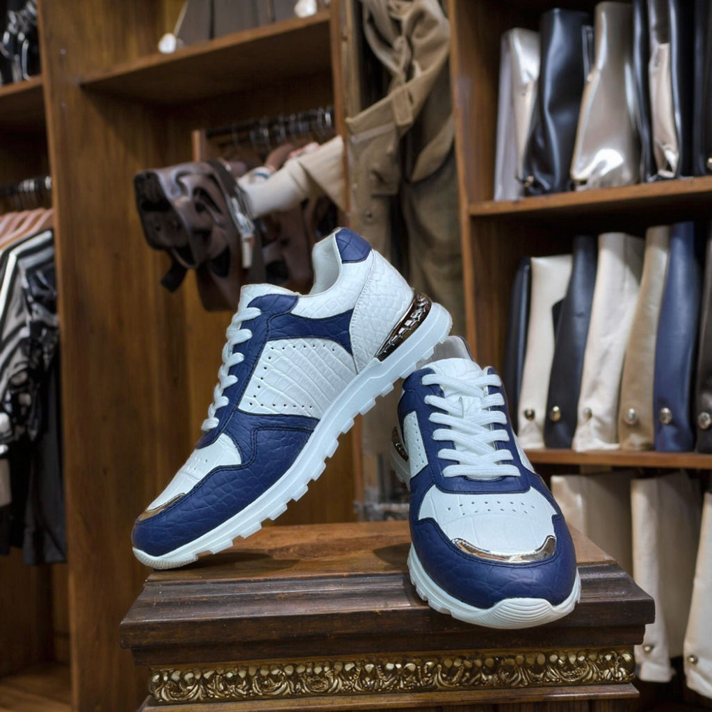 สีขาวและสีฟ้า