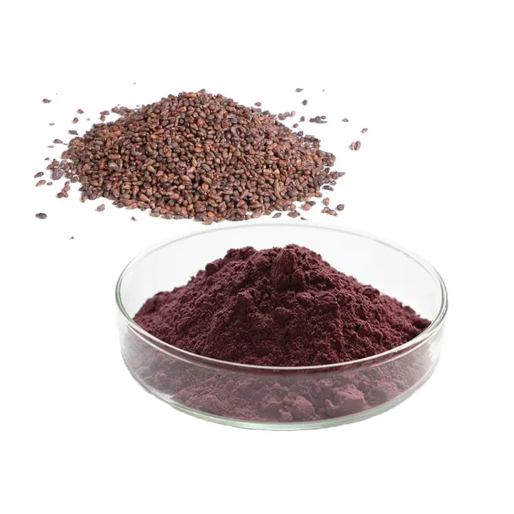 Supplément naturel Proanthocyanidines Poudre d'extrait de pépins de raisin de haute qualité