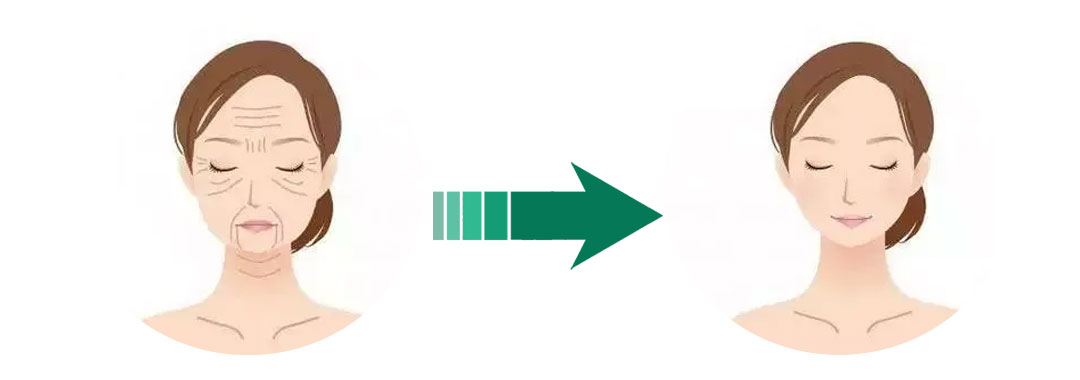 Σκόνη αποσπασμάτων του Blackberry με τις ανθοκυανιδίνες 25%/τις ανθοκυάνες 1 - 25% 3