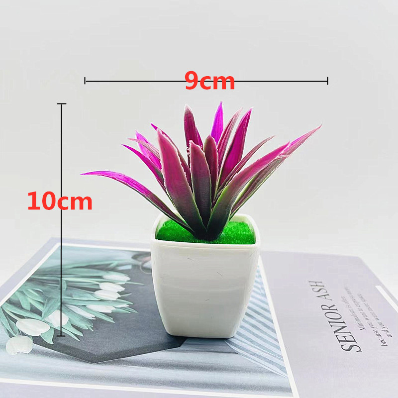 Herbe de glaïeul violet-rouge