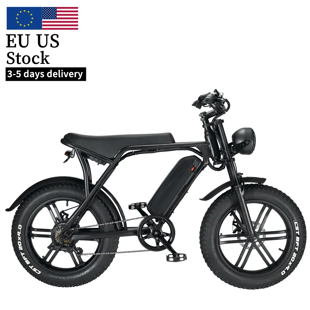 Abd ab depo E bisiklet 48V 750W 1000W 12.5Ah elektrikli kir bisiklet Off-Road şehir ebike yetişkin yağ lastik hibrid elektrikli bisiklet