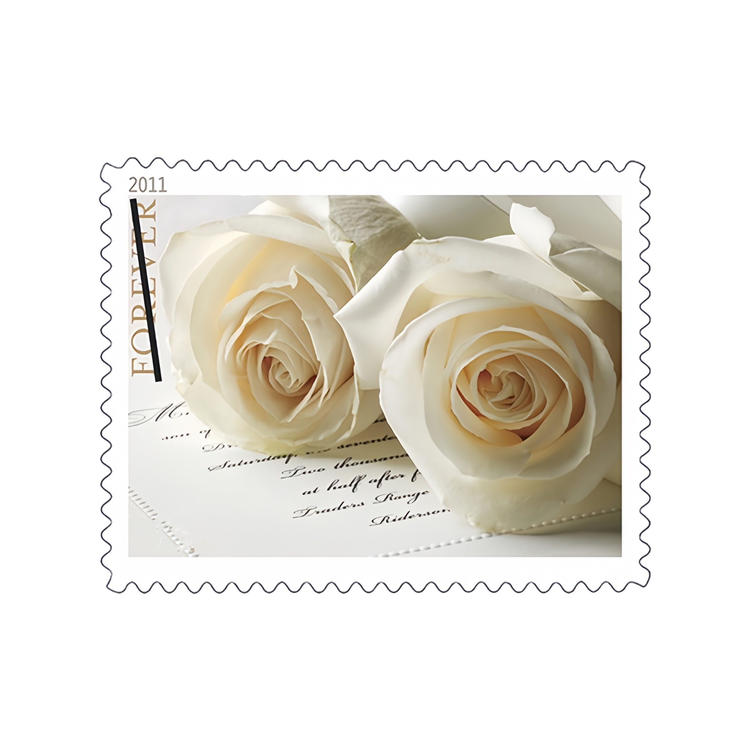 2011 Rosa Blanca 500374-B7-18-21BMG