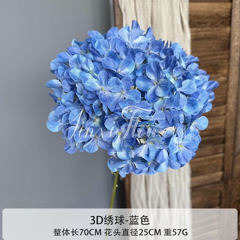 Hortensia de verano sin fin - Azul
