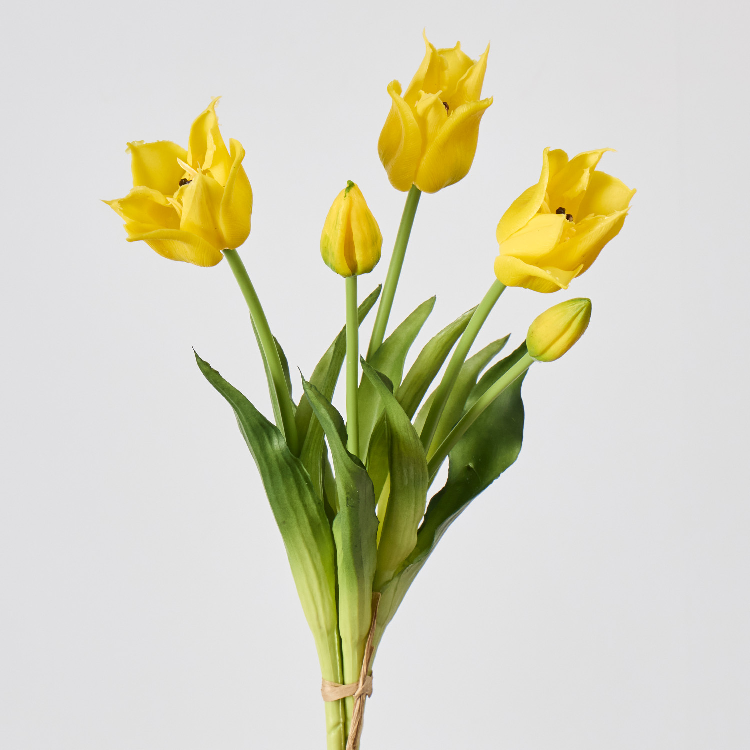 Giallo