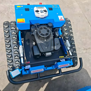 <span class=keywords><strong>2025</strong></span> Sản phẩm mới trí tuệ nhân tạo điều khiển từ xa Máy cắt cỏ 550 mét <span class=keywords><strong>mini</strong></span> theo dõi máy cắt trên bán - Product Image 5