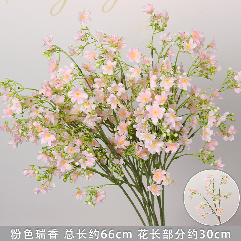 Branche de Daphné rose