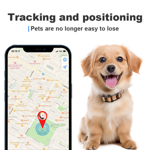 Factory Direct Supply Wireless Eg08 Security Protection Asset Realtime Tracking 4G Mini GPS <strong>Tracker</strong> for Car - Product Image 3