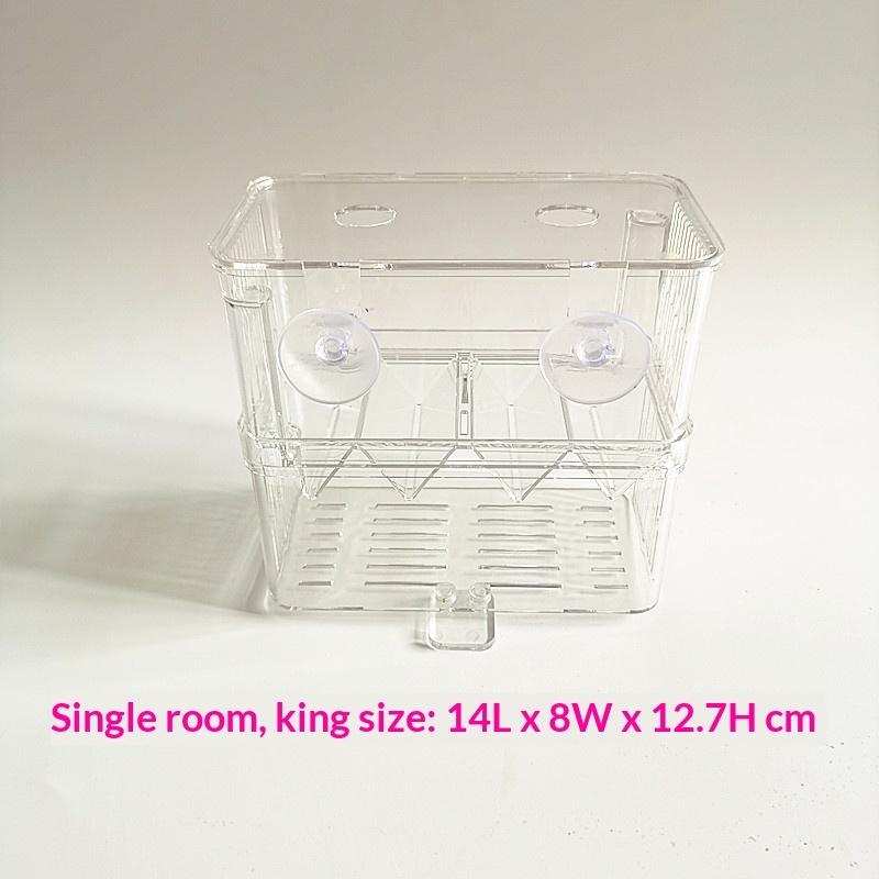 Boîte d'élevage extra large à chambre unique, 14*8*12,7 cm