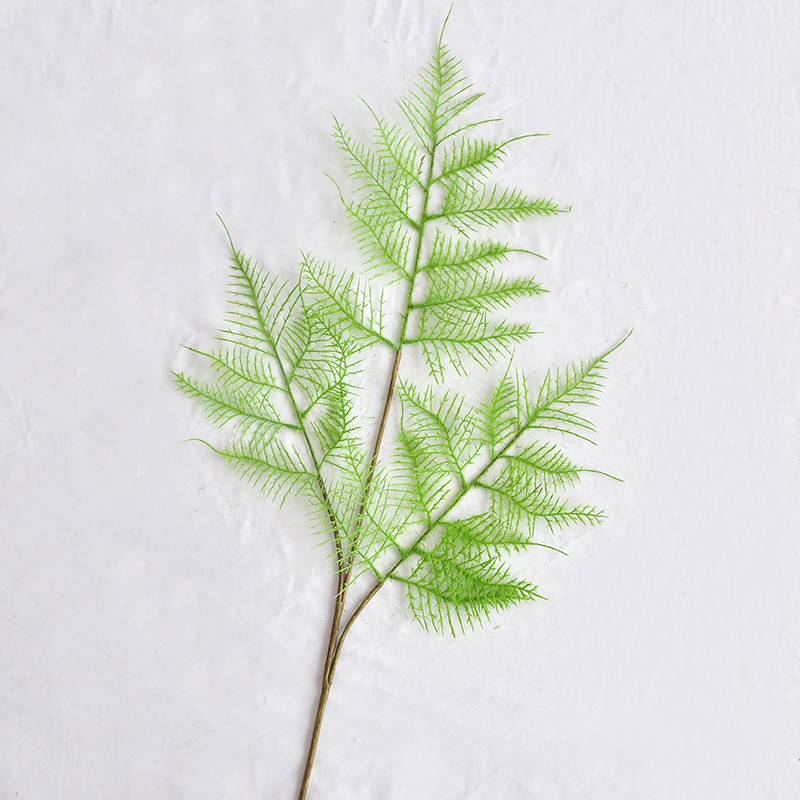 Plante de bambou à trois feuilles touffues à tige unique