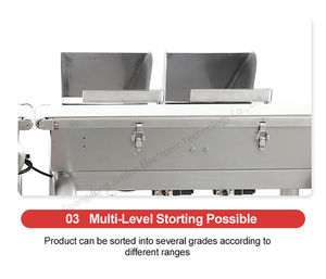 Desain baru Conveyor memeriksa timbangan berat Sorter memeriksa berat sortir mesin untuk berat badan - Product Image 5