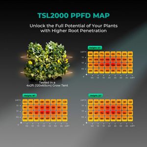 300W Mars TSL-2000ไฮดรอลิก CE ROHS หลอดไฟ LED สเปกตรัมเต็มรูปแบบหรี่แสงได้ประสิทธิภาพสูงดีไซน์มีฮู้ด - Product Image 2