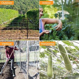 Rete da arrampicata in rete per rete di supporto per impianto in HDPE, rete per impianti in Nylon e poliestere agricolo, - Product Image 5