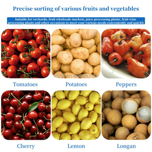 Macchina automatica per smistamento di frutta e verdura nastro trasportatore di ciliegia fragola di cocco