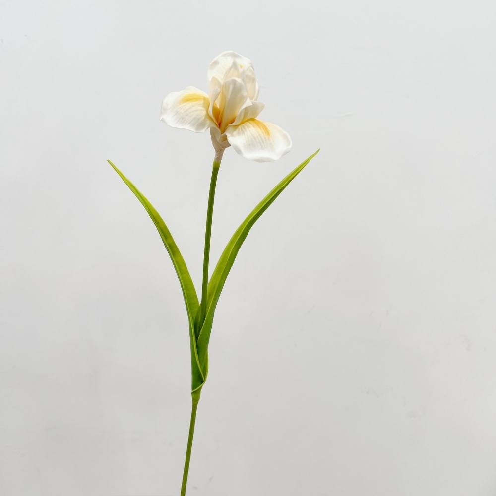 Orange jaune