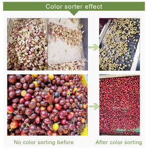 Mini clasificador de procesamiento de granos de arroz fácil de operar, máquina clasificadora de color de frijoles blancos - Product Image 5