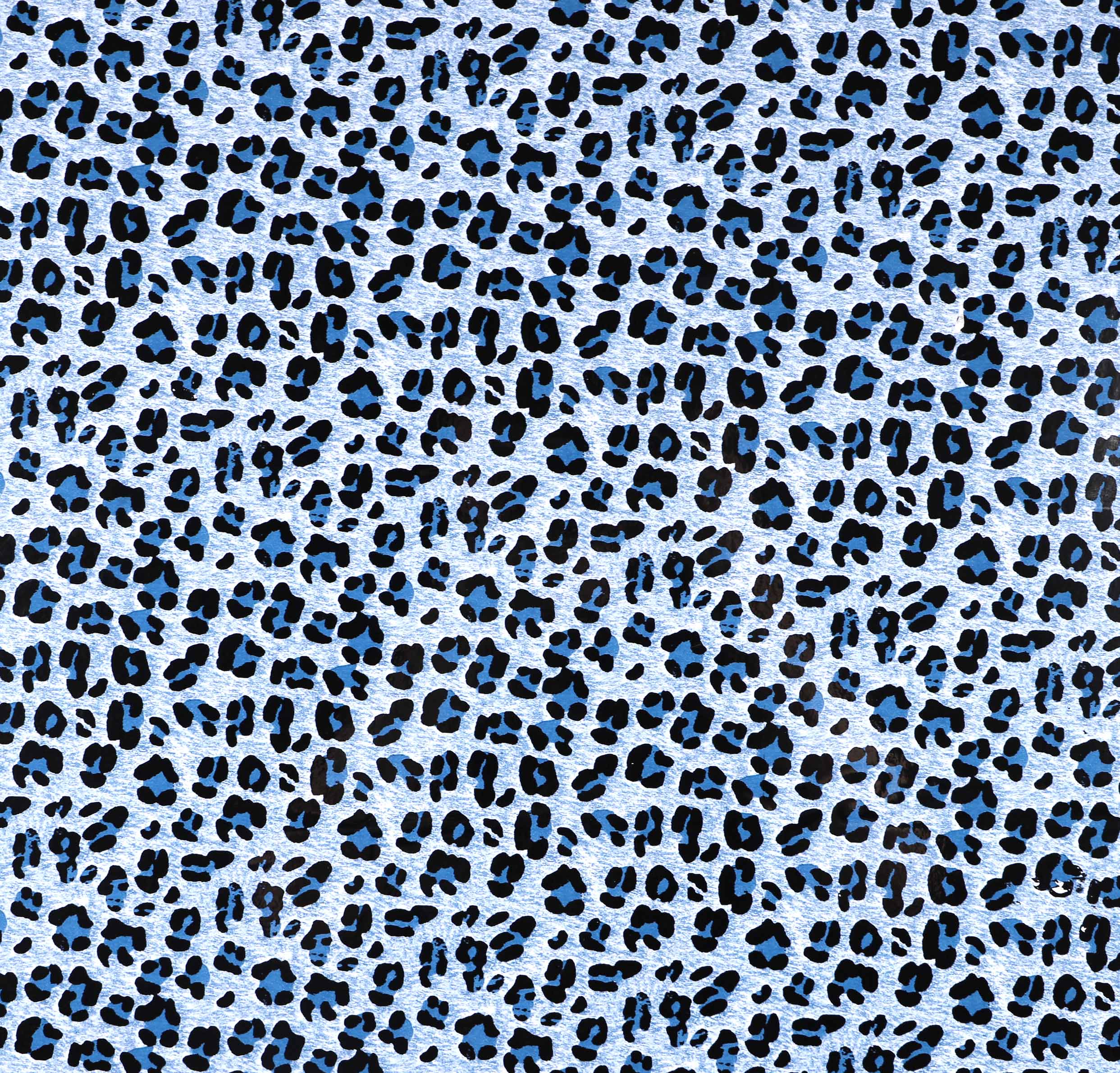 Leopard4