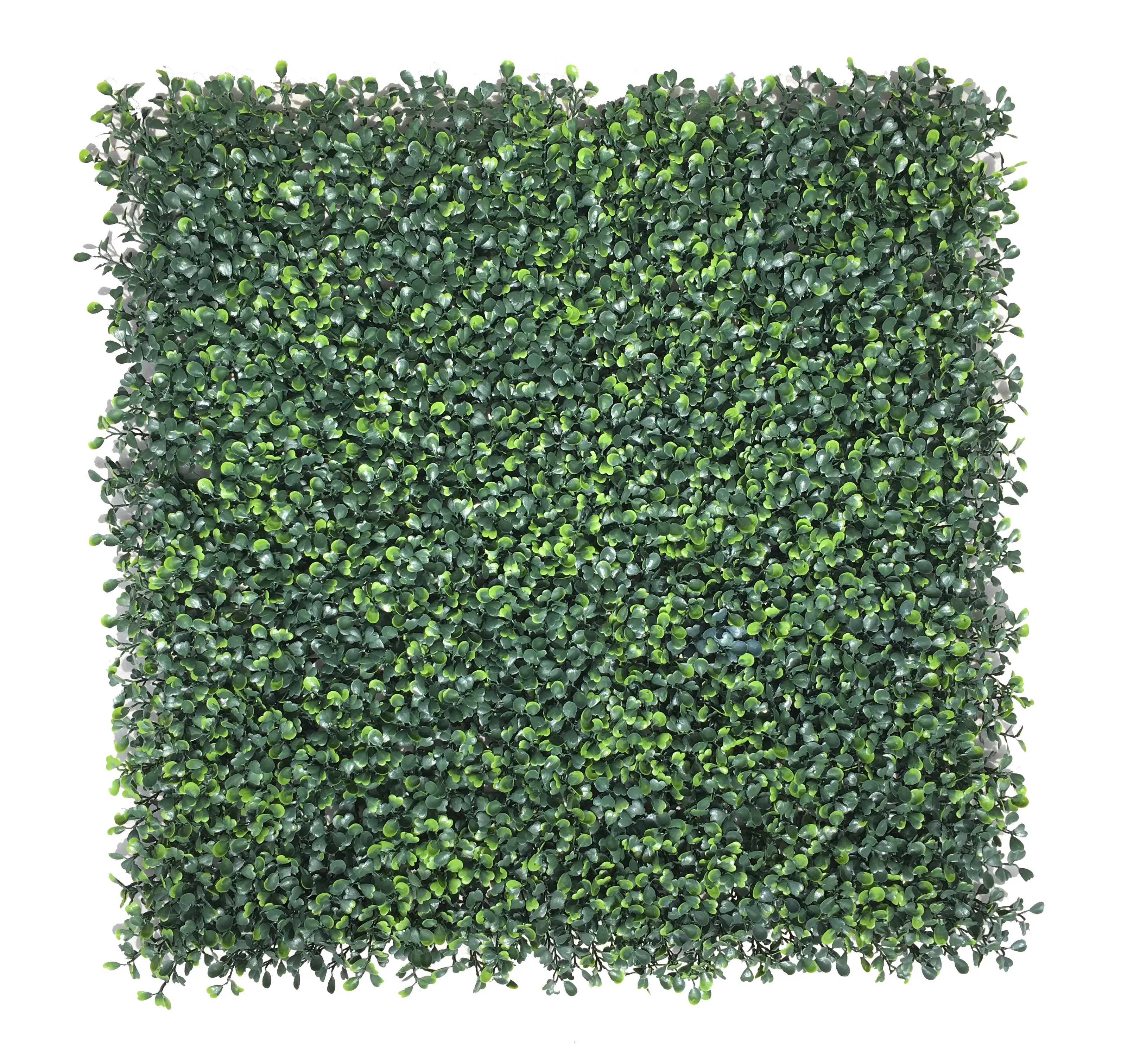 Parete verde artificiale della foglia della stuoia del pannello del bosso di protezione UV per il recinto di plastica della siepe artificiale della decorazione del giardino