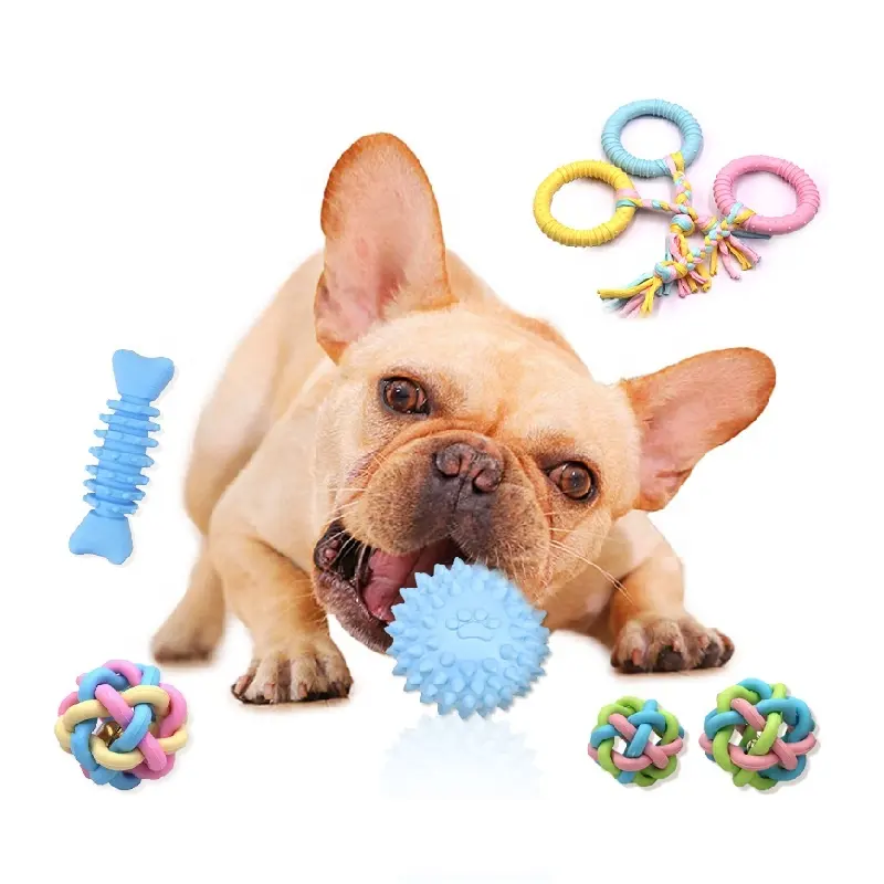 Acessórios para cães Brinquedo para animais de estimação Trp Brinquedo para mastigar osso de cachorro brinquedo de corda de algodão para dentição