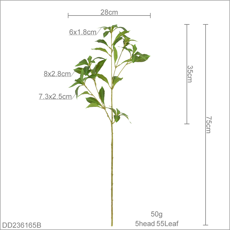 75 cm