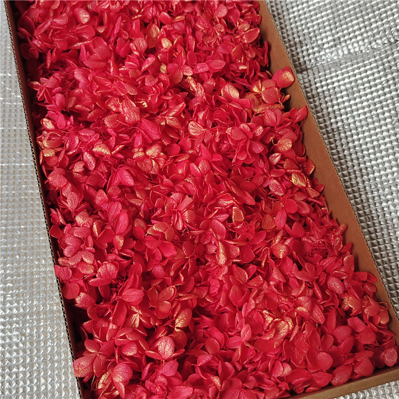 Golden redwood hydrangea-90-100g per box