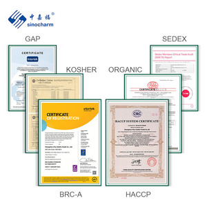Sinocharm清真优质中国新鲜水果一半供应商冷冻<span class=keywords><strong>IQF</strong></span>芒果果泥