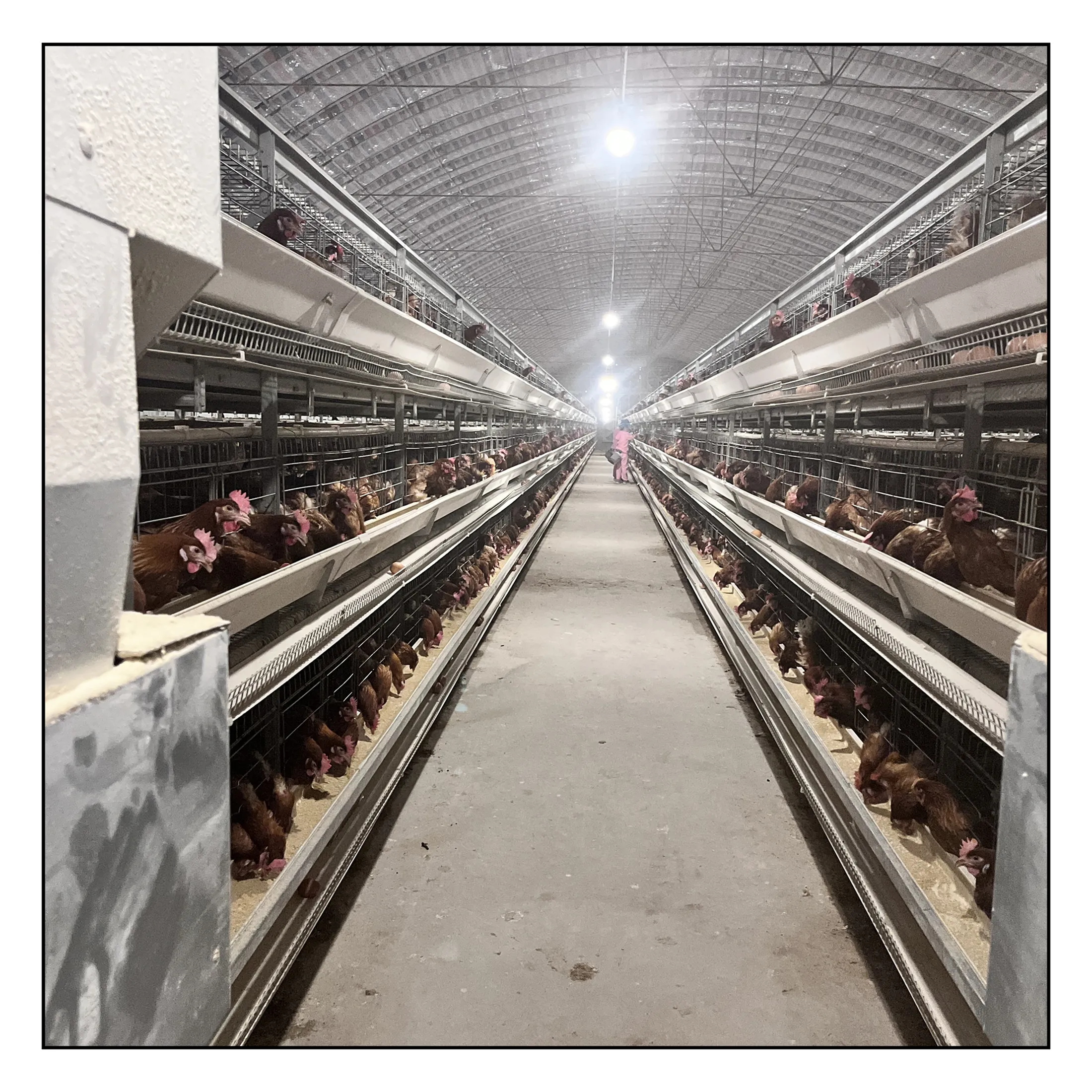 Hot dipped Galvanized Poultry Cage Design Battery Layer Chicken Cage For Sale