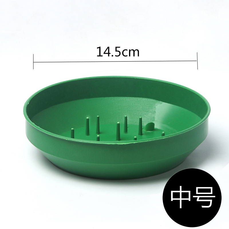 Vert Rond 14.5cm