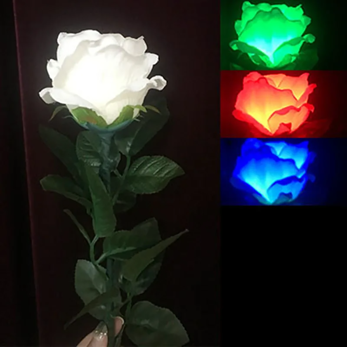 Rosa iluminada de 3 colores