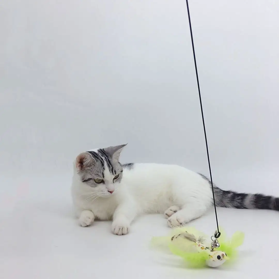 ألعاب للقطط مخصصة حسب الطلب من المصنع تشبه الطيور الريشة وعصا التمازح القطط ملحقات القطط