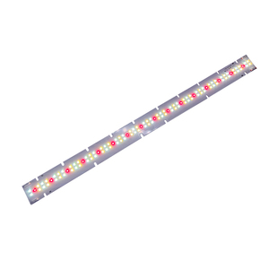 Yüksek verimli bahçecilik LED ışık motoru LED lineer modül bitki ışık Samsung LM301H EVO ve o-sram bahçecilik LED - Product Image 6