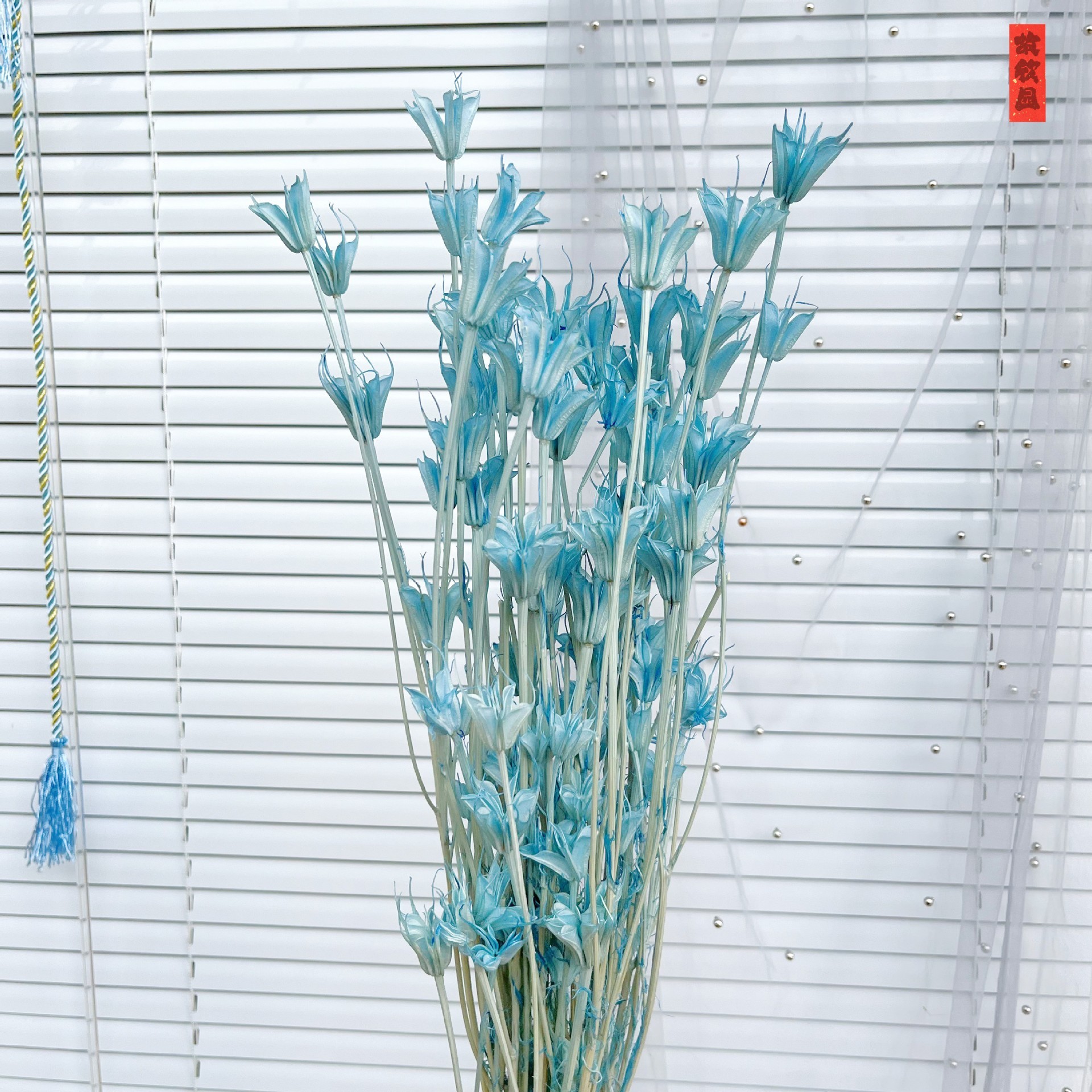 Bleu clair