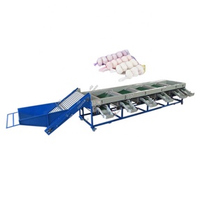 Máquina clasificadora rotativa de tambor automático, máquina clasificadora de clasificación de tamaño de ajo, máquina clasificadora de tamaño de ajo