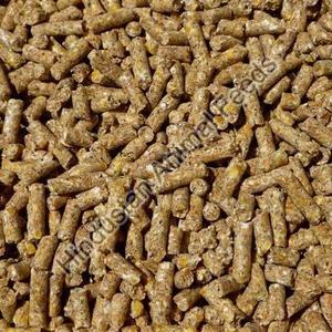 牛肉と骨の食事家禽65% 動物飼料食品