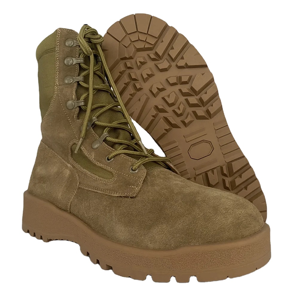 coyote oscuro