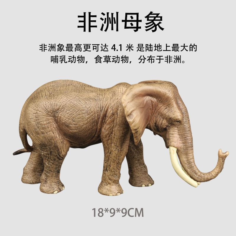 S346 elefante hembra africano