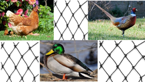 2cm Loch Schwarz HDPE Mesh Farm Obstgarten Gemüse Erdbeer Kirsche Traube Obstbaum Anti Vogel Netz Teich Zucht Zaun Netz - Product Image 6