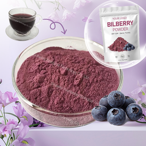 Низкая цена, порошок экстракта черники 20:1, чистый органический порошок фруктового сока в европейском стиле - Product Image 1