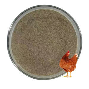 Biofloc Biofloc Probiotics Fish Bacillus Subtilis Fermentation - Product Image 2