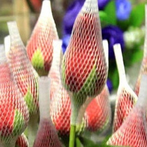 Lưới Bảo Vệ Tay Áo Hoa Hồng Lưới Bọc Hoa Màu Đỏ Cho Hoa, Lưới Trang Trí Hoa - Product Image 5