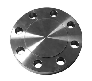 Cao Bán Tùy Chỉnh Sch40 DN15-DN4000 WN Bl Sw LJ Mặt Phẳng Giả Mạo Nữ Threaded Thép Không Gỉ PN20 Carbon Mặt Bích Thép - Product Image 4