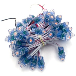 Hot Selling Dc12v 12mm Ip68 Waterproof <strong>Led</strong> Holiday Lights <strong>Led</strong> Single Color <strong>Pixel</strong> <strong>Node</strong> <strong>Led</strong> <strong>Module</strong> <strong>Led</strong> Light <strong>String</strong> - Product Image 6