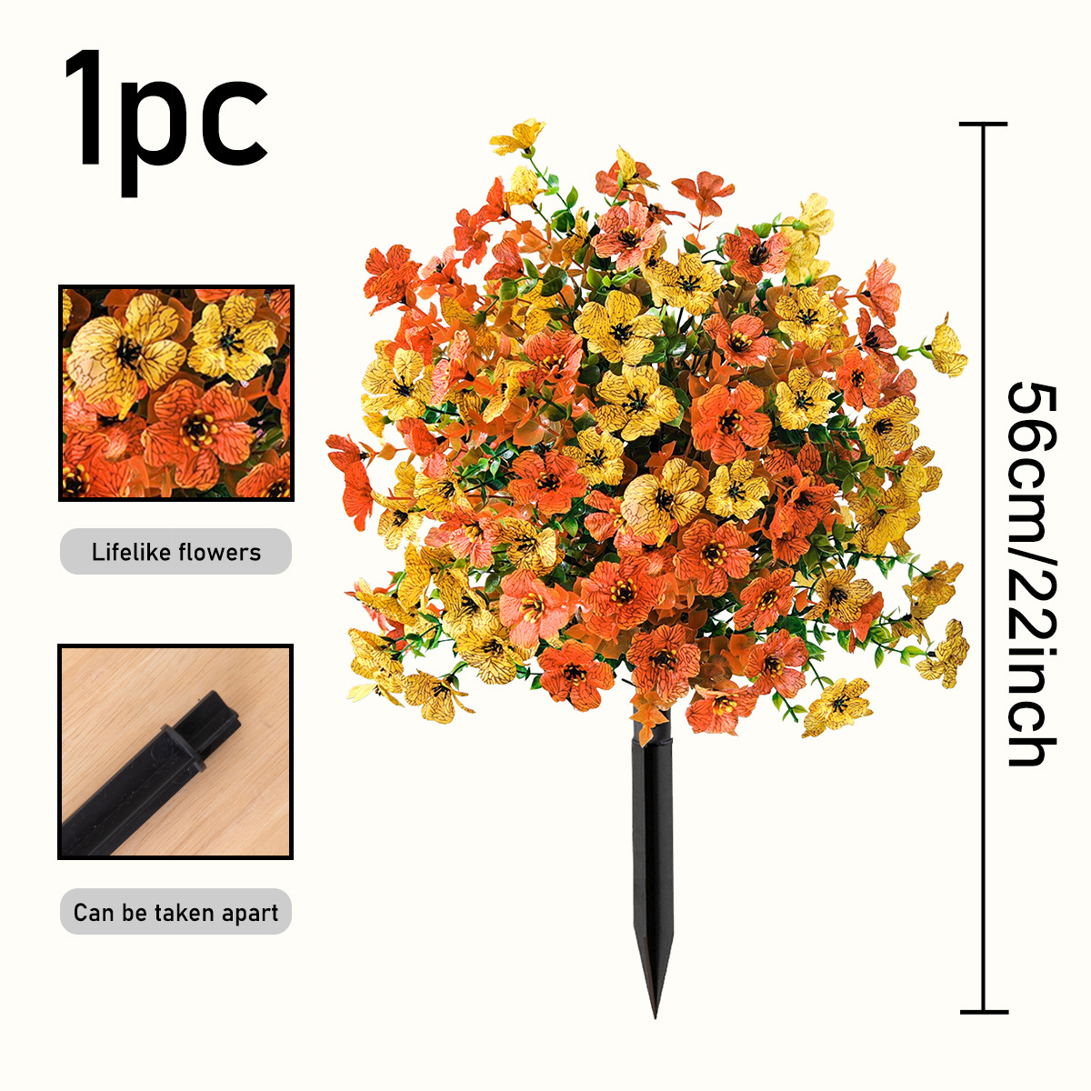 Violet Ground Bush, Orange-Yellow